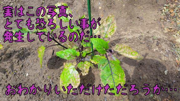 おわかりいただけただろうか…(2025年07月13日 13:43)|あんじゅの写メ日記