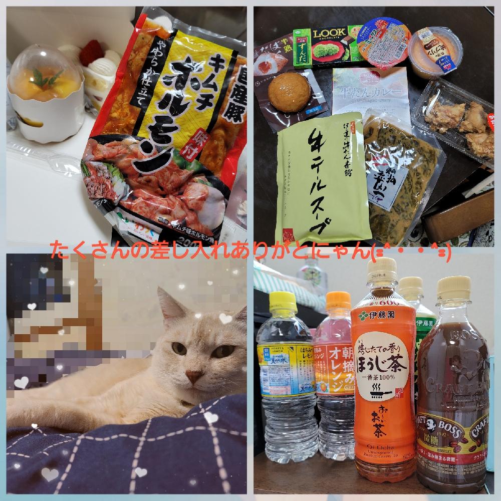 無題(2021年06月19日 23:15)|めぐの写メ日記