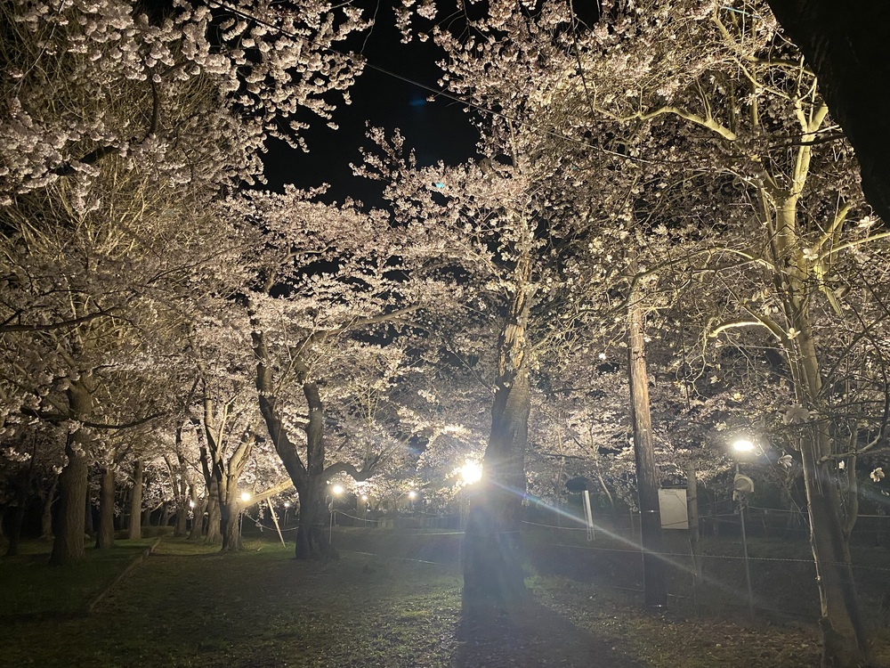 明日います😌(2025年04月25日 16:50)|あん【弘前黒石】の写メ日記