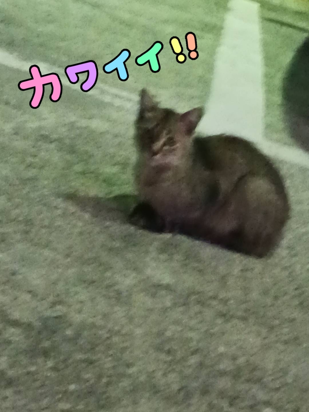🌷🌷📮お題に(2025年08月05日 19:33)|みなの写メ日記