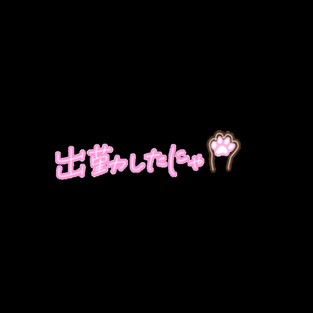 「🌷🌷」