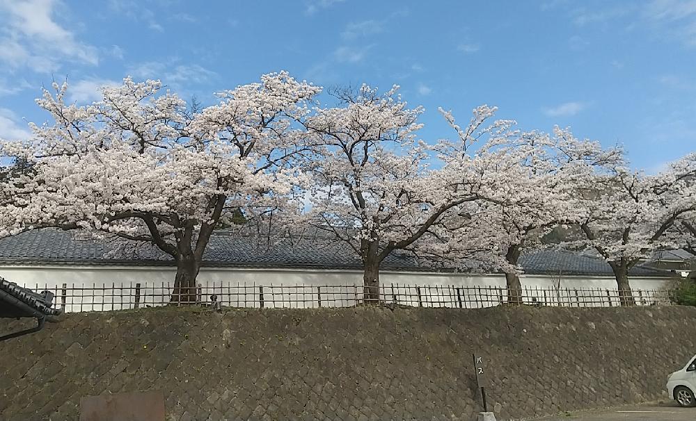 やまなさん♥️(2023年04月25日 21:47)|寺田てらだの写メ日記