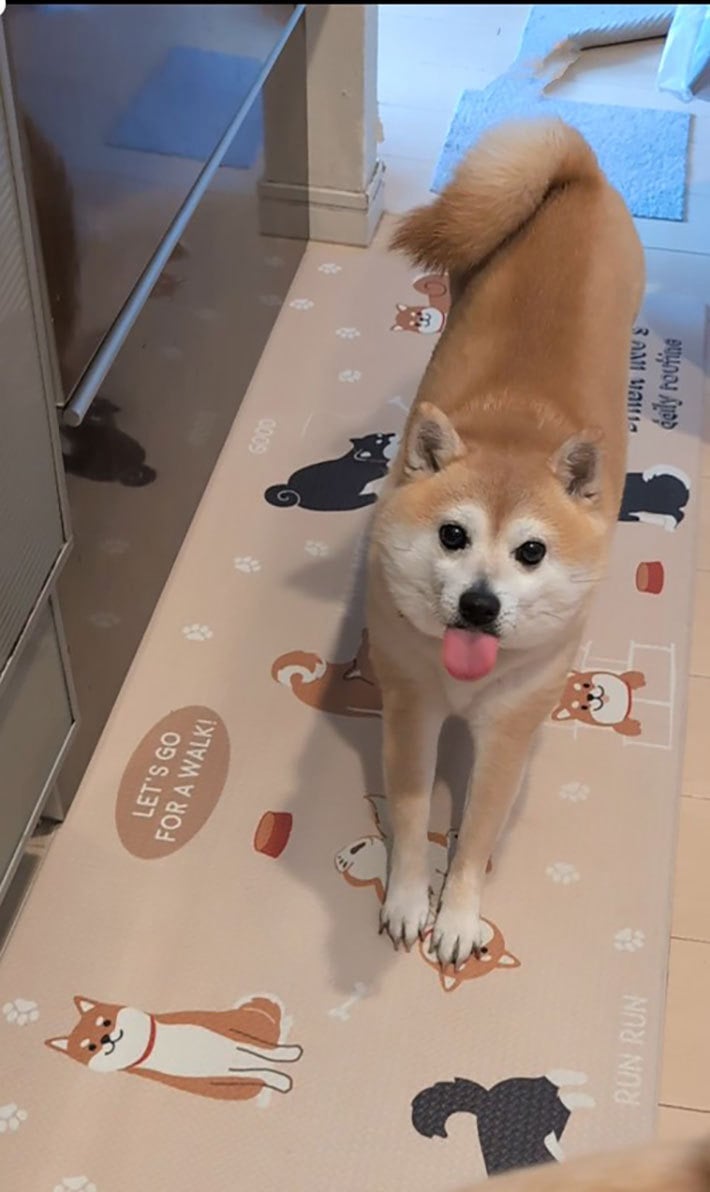 おはよう(*・ω・)ノ(2025年02月17日 08:40)|なおの写メ日記