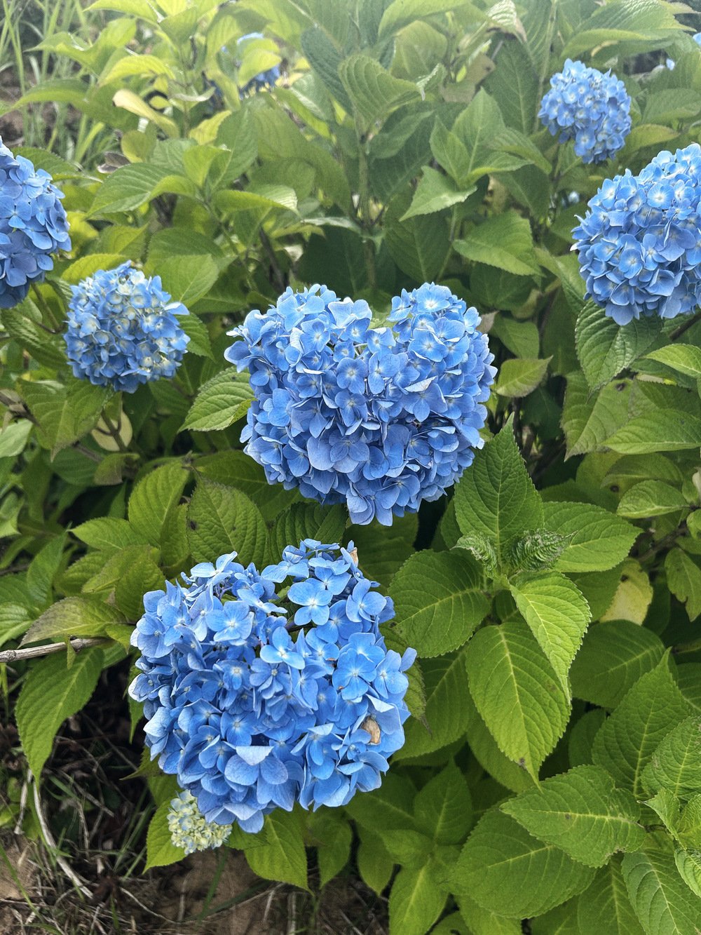 「一人旅💐🎀⟡.·」