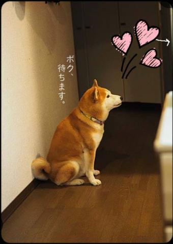 「待機♡」