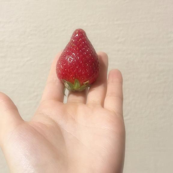 「まっかー!」