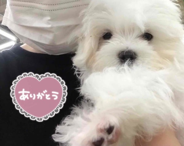 「♡ありがとうございました♡」