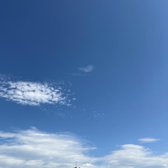 「晴天☀️.°」