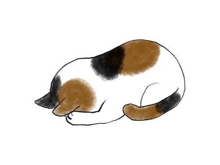 「度々お詫び」
