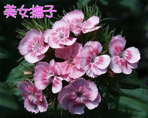 6/11今日は何の日❓(2025年06月11日 01:03)|(盛)石井奈緒実の写メ日記
