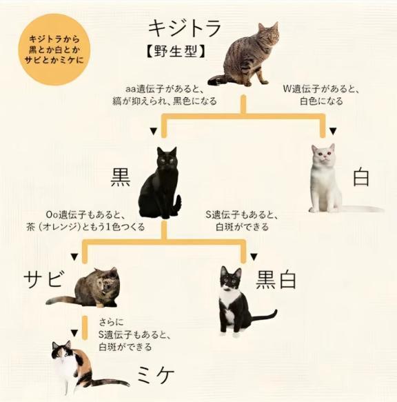 〜♩(2025年06月15日 00:26)|優乃-ゆの-の写メ日記