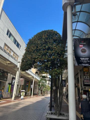 「いい匂い〜」