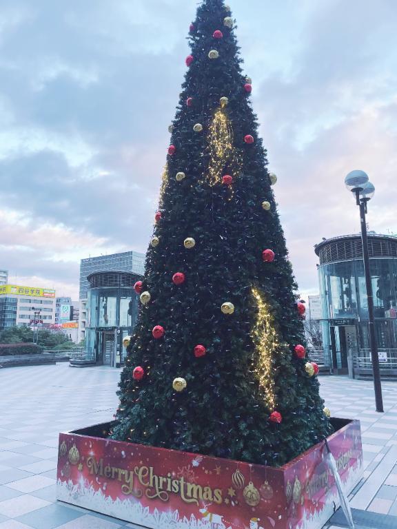 「すてきなホリデイ🌲🌟」