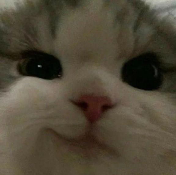 「ありがとうございました!」