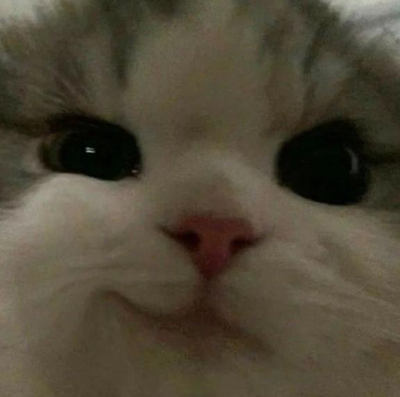 「ありがとうございます!」
