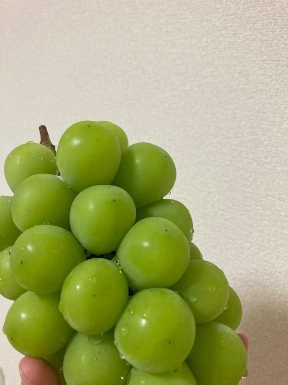 メガネ(2025年09月05日 07:42)|るんの写メ日記