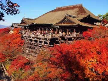 秋の京都(2022年10月04日 14:39)|かれんの写メ日記