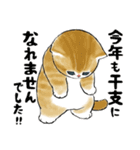 「なれませんでした!!」