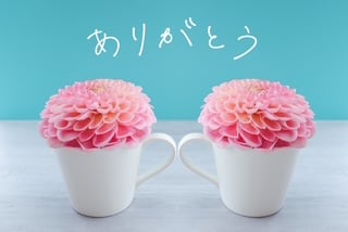 「昨日のお礼🩷」