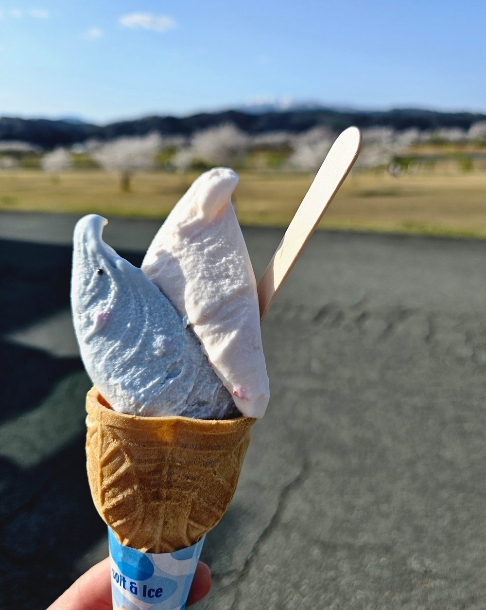 出勤しました♡(2024年04月13日 18:16)|ゆめのの写メ日記
