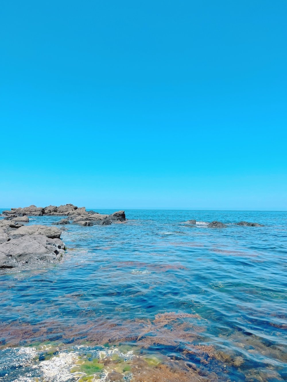 うーみー🌊(2023年05月20日 16:15)|みすずさんの写メ日記