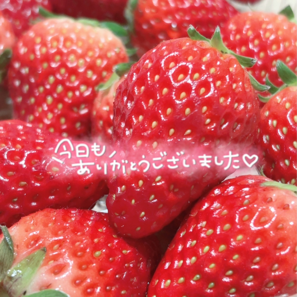 たいきん🍓(2025年01月24日 22:34)|はなの写メ日記