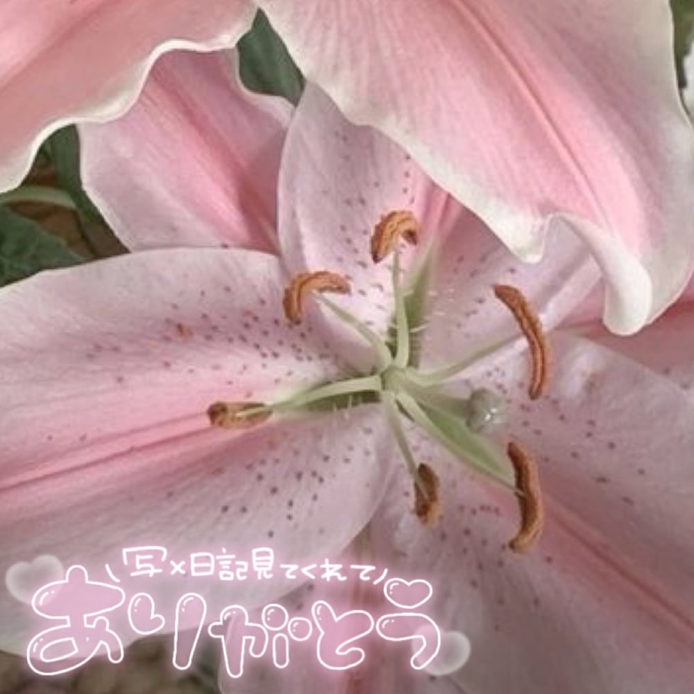 あしたから🙌🏻(2025年07月06日 22:26)|はなの写メ日記